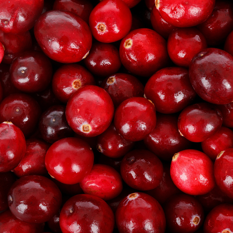 Cranberry Harvest 12 oz Candle