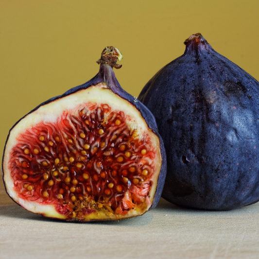 Bee Coco Candle Mediterranean Fig Image