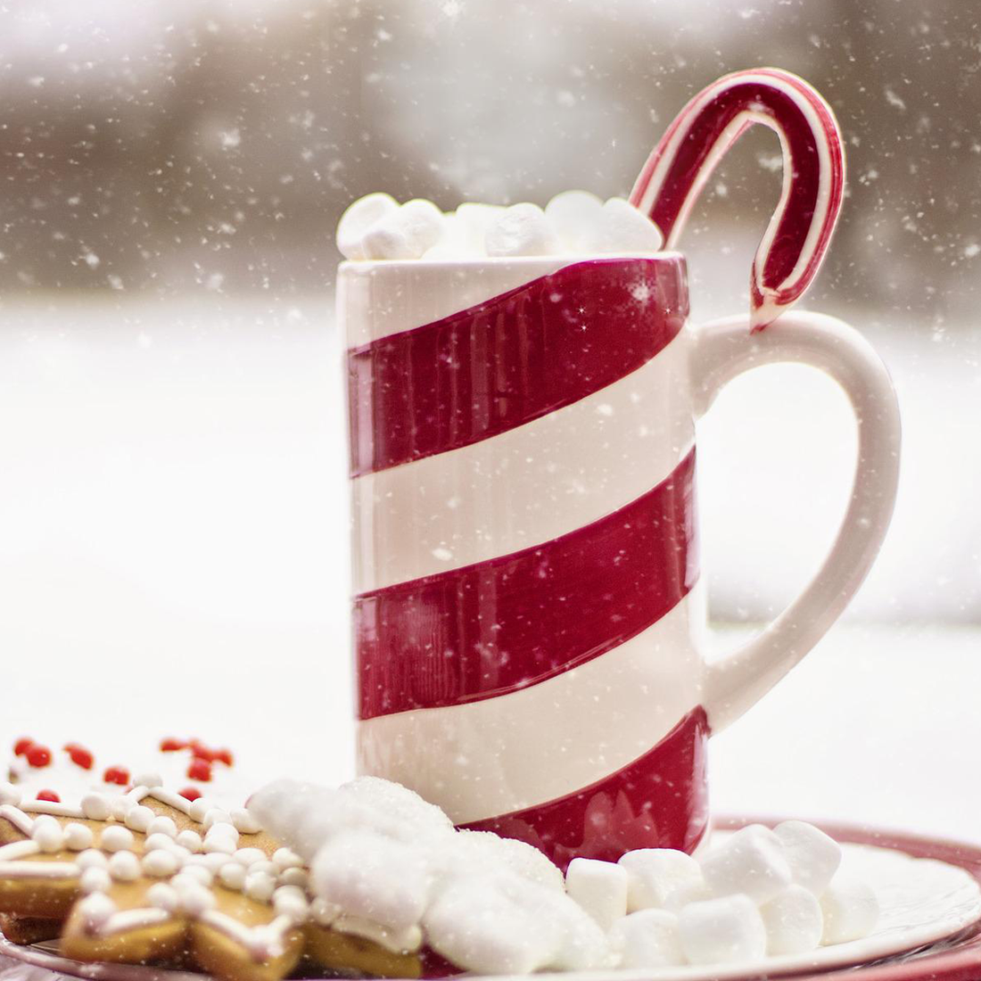 Bee Coco Candle Candy Cane Swirl Image