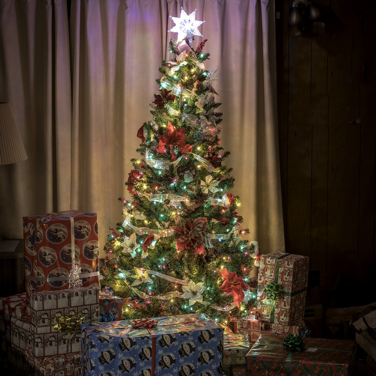 Under the Tree Wax Melts