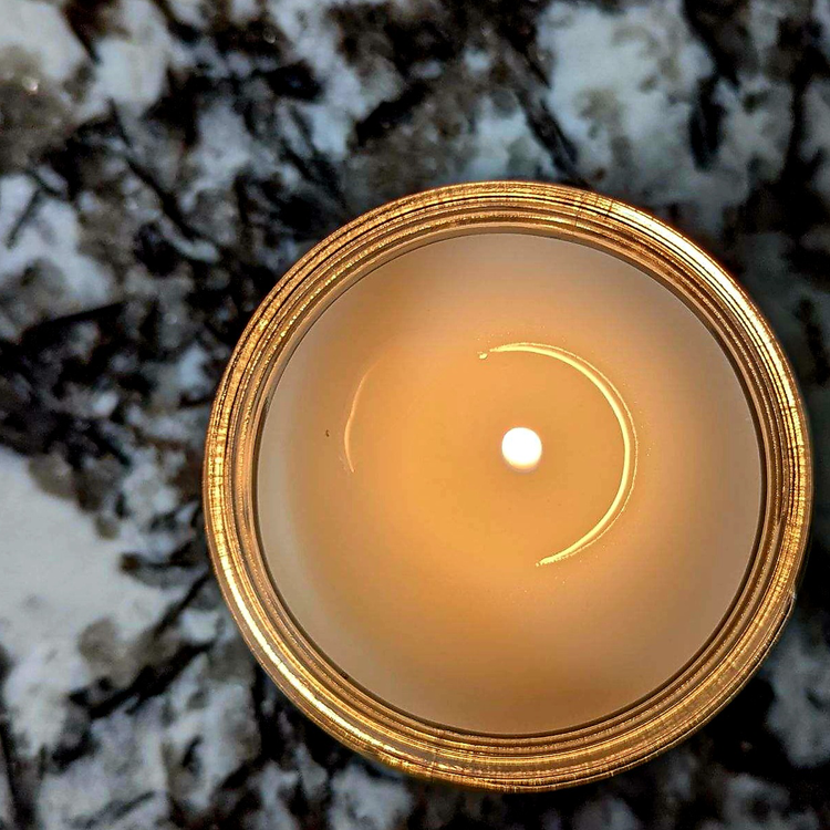 Bee Coco Candle Hocus Pocus 12 oz Scented Candle