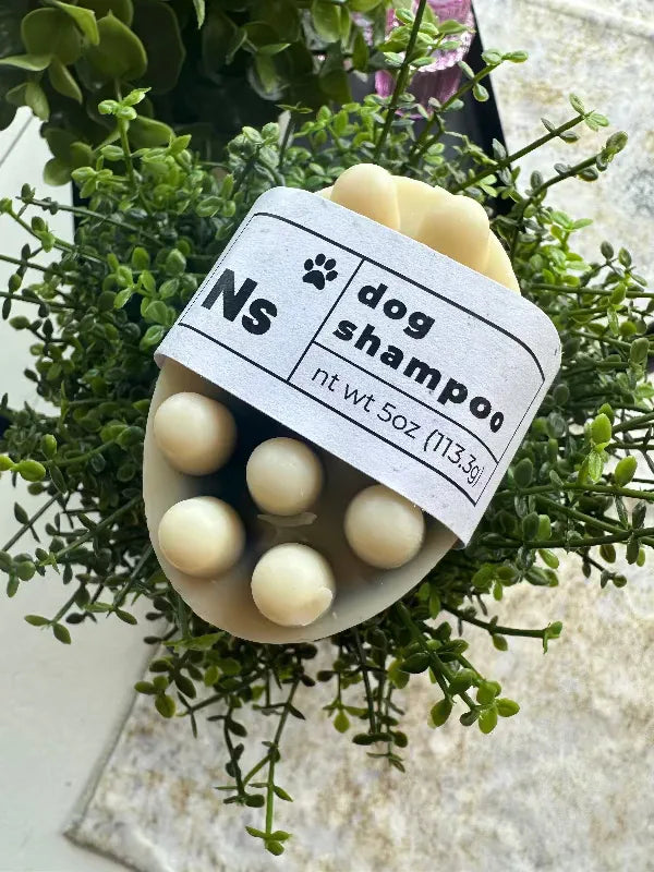 Solid Dog Shampoo by The Noble Soapery - Bee Coco Candle