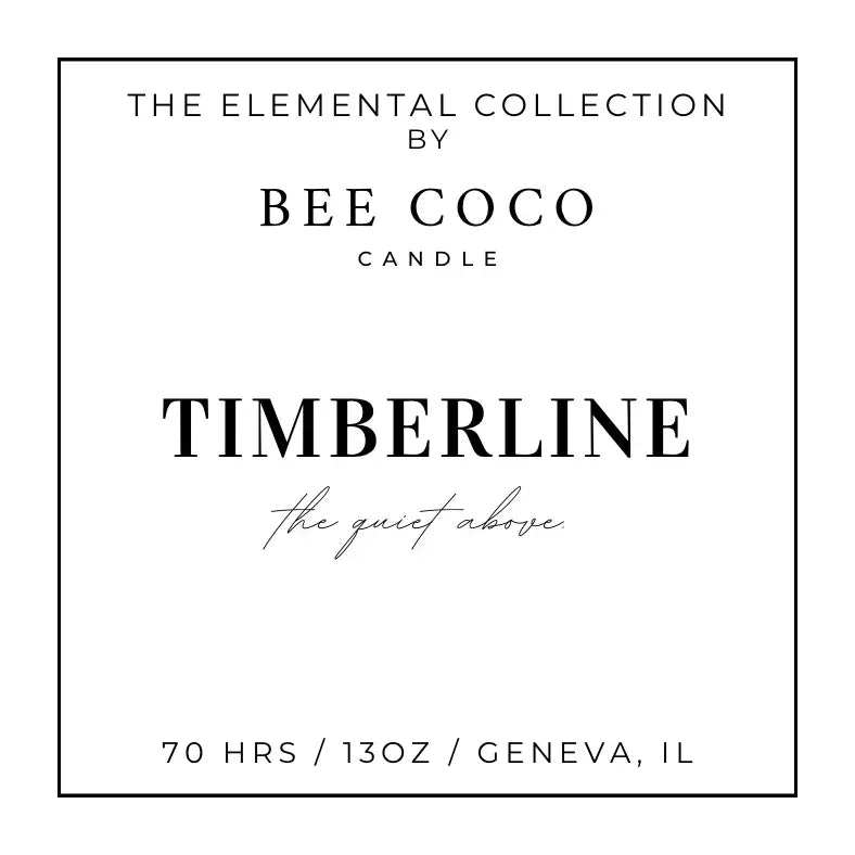 IMG-9159 - Bee Coco Candle