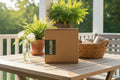 explore-box-set-blog-header - Bee Coco Candle