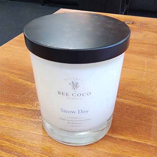 Snow Day 13oz