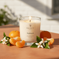 sunkissed-13oz - Bee Coco Candle