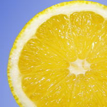 Bee Coco Candle Sugared Lemon Image