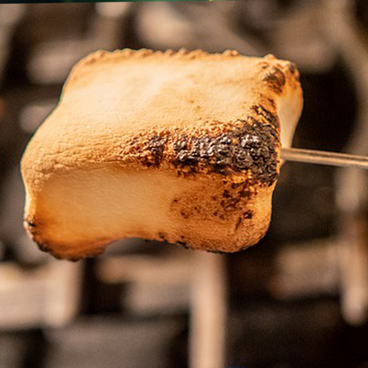 Toasted Marshmallow on a skewer